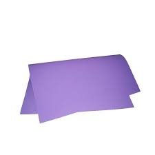 EVA 40X60 ROXO UN